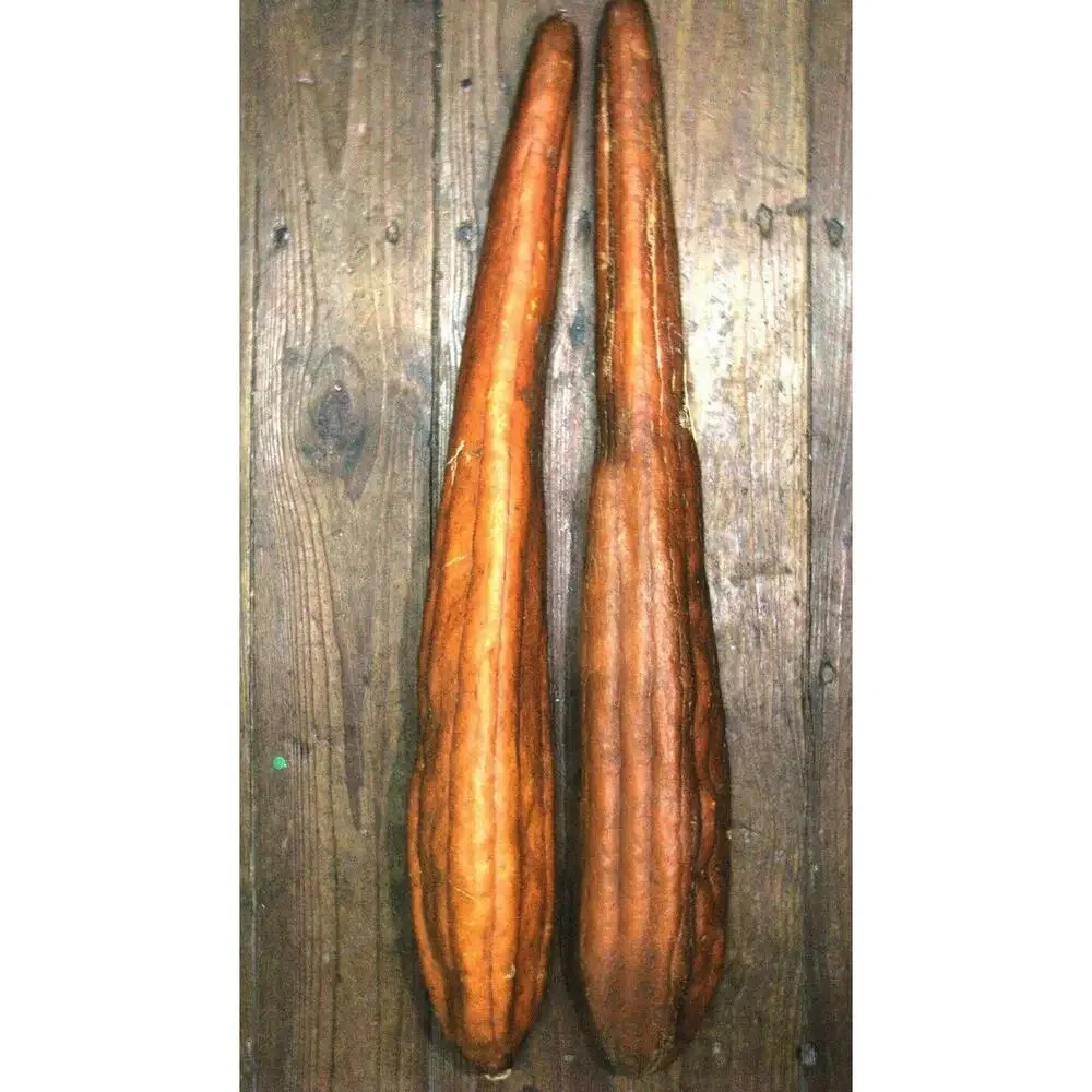 Kitchen Scrubber Pad 100% Natural Loofah,Eco-Friendly, Biodegradable, Baby Chick
